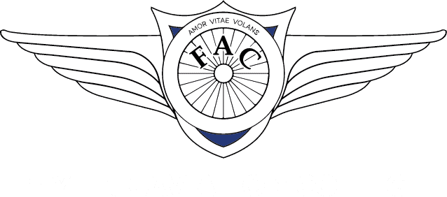 Flylink Aviation Logo